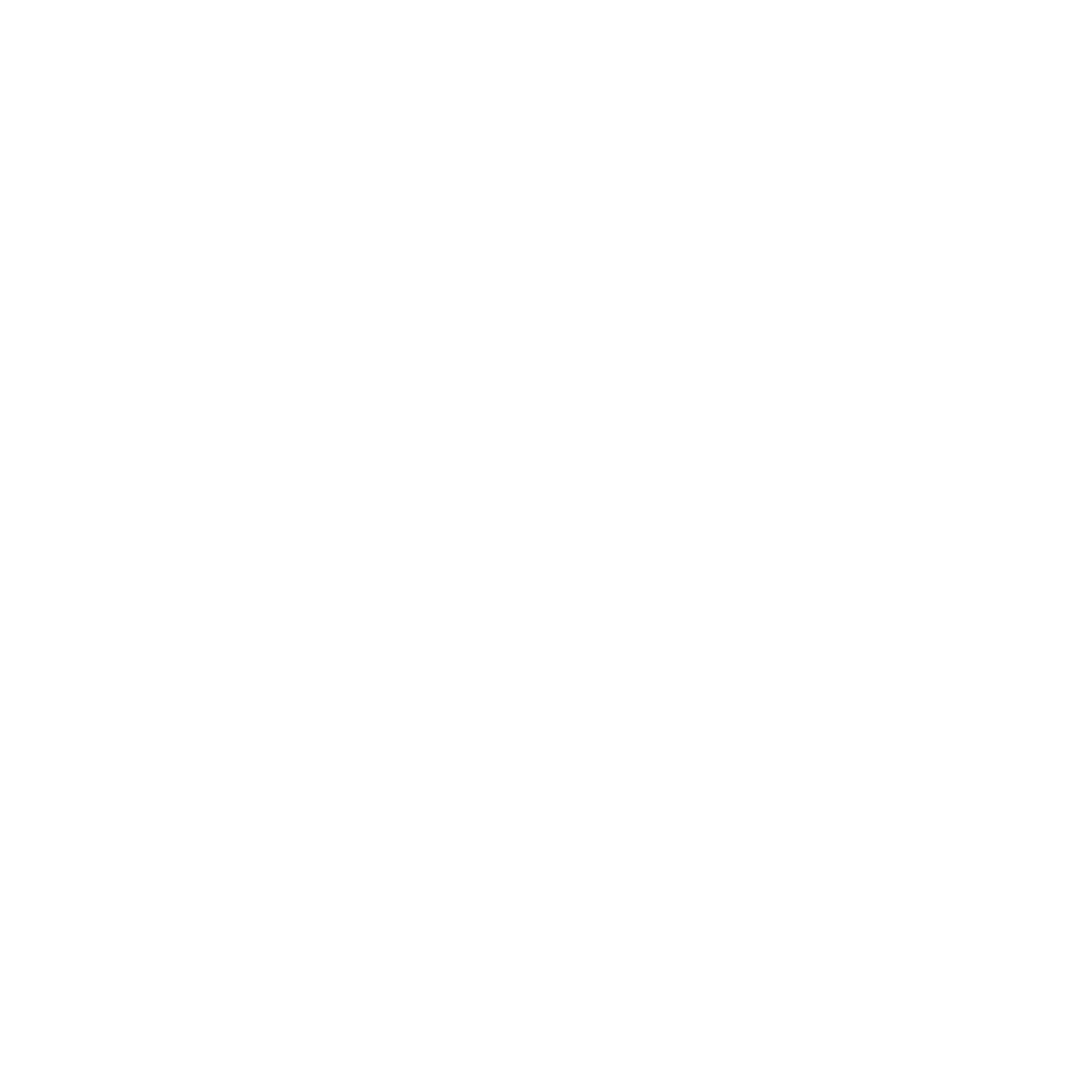 Logo-weiss